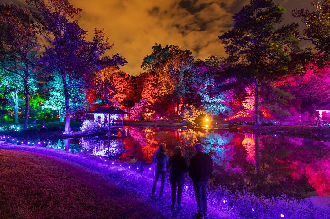 The Japanese Garden lake is filled with reflections of glowing trees