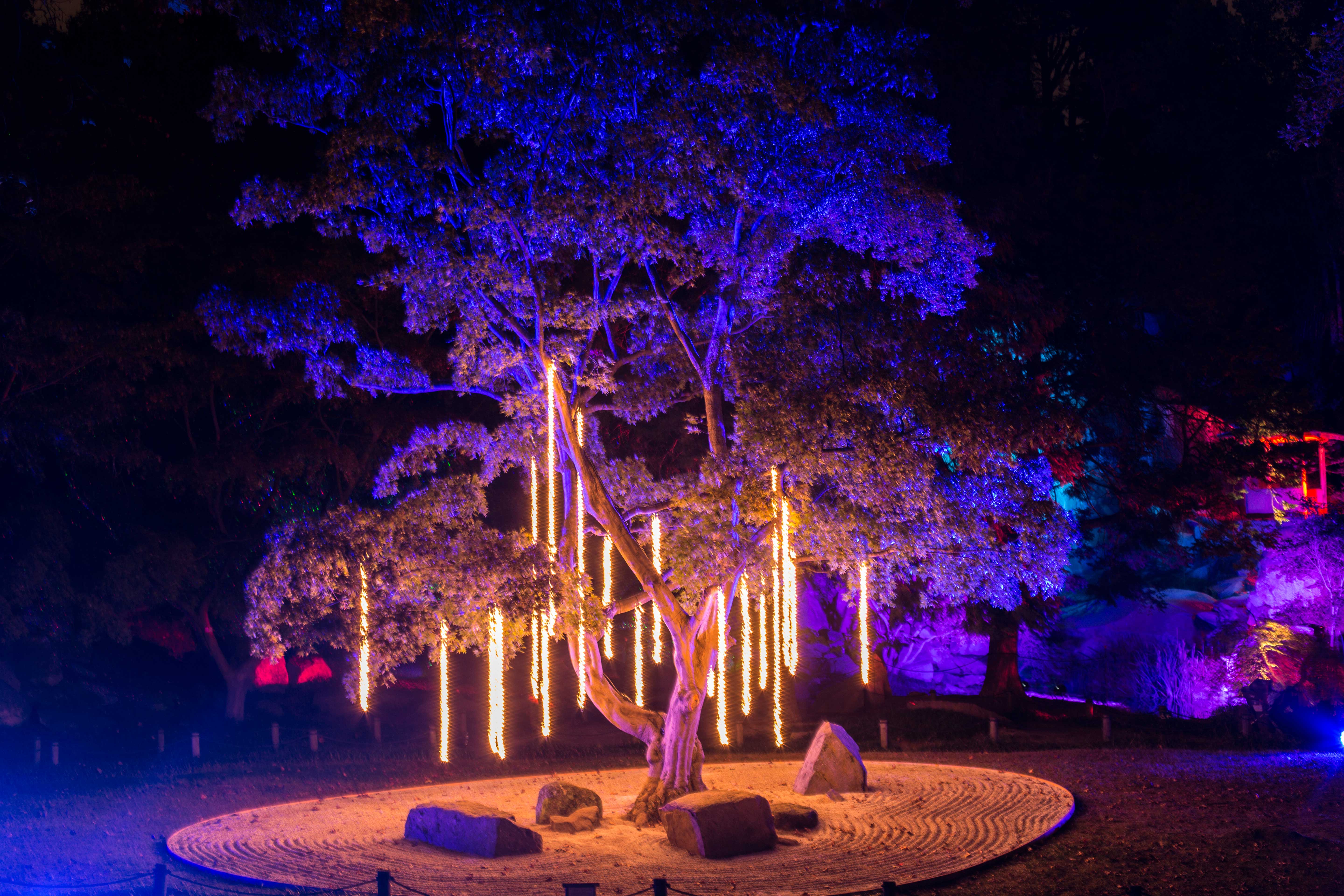 Event Lighting Design Maymont Garden Glow The Lighting Sound Company