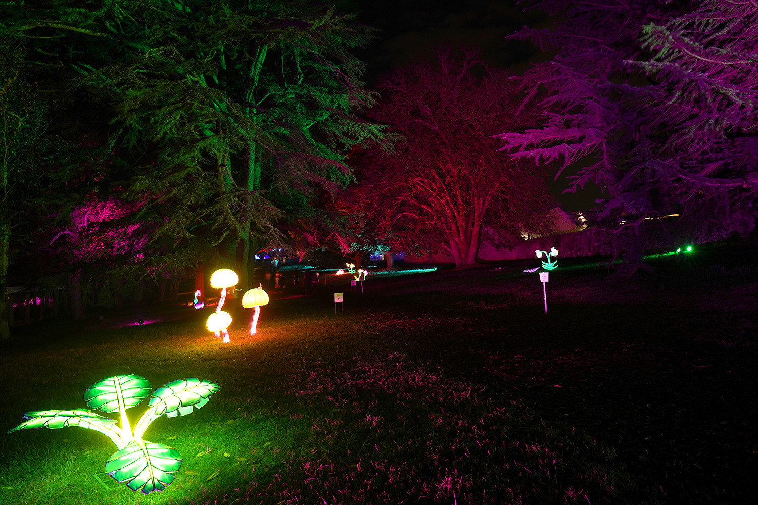 Maymont Garden Glow Outdoor Lighting The Lighting Sound Company