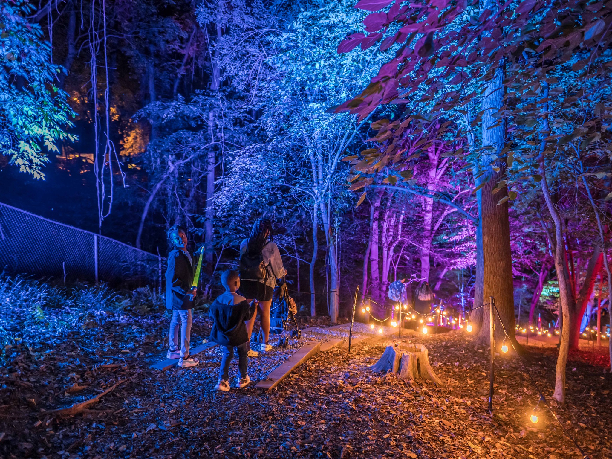 lighting-for-walking-paths-the-lighting-sound-company