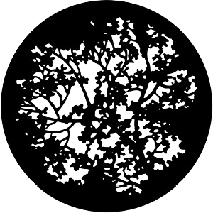 Gobo  - Steel - Rosco RSS 77774 - Blossoms